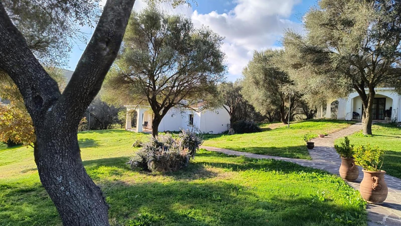 Penzion Tenuta Le Terre 1927 San Teodoro  Exteriér fotografie